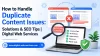 How to Handle Duplicate Content Issues