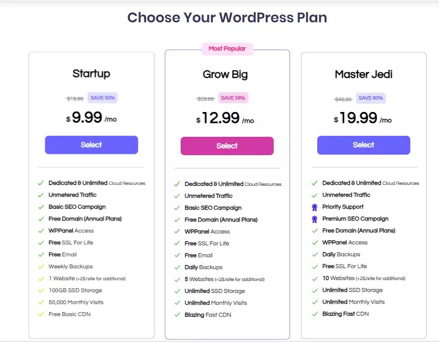 WPworld Pricing