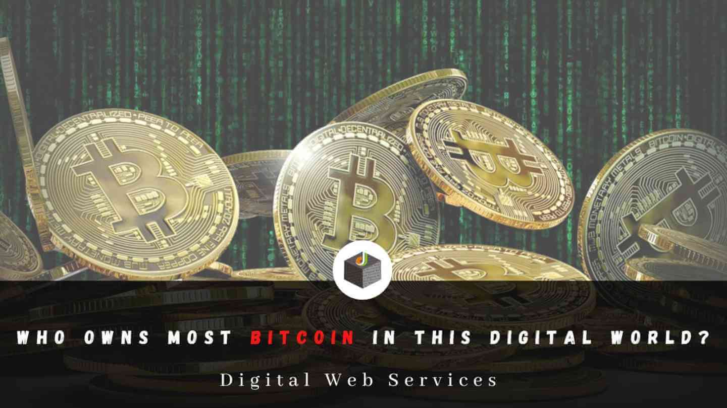 Who Owns Most Bitcoin In This Digital World?