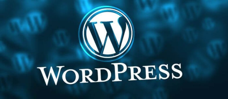 Wordpress Website- Development