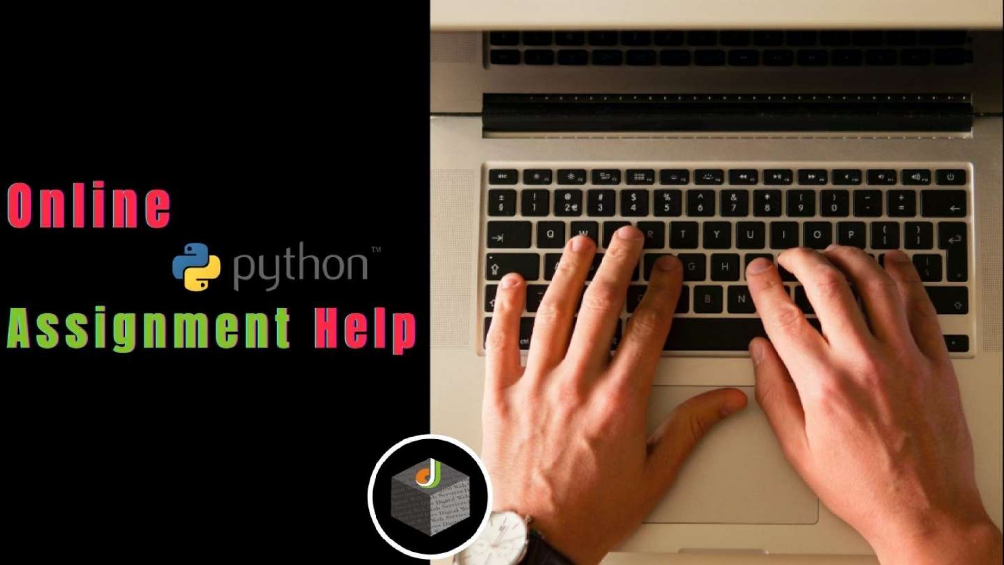 python assignment help online