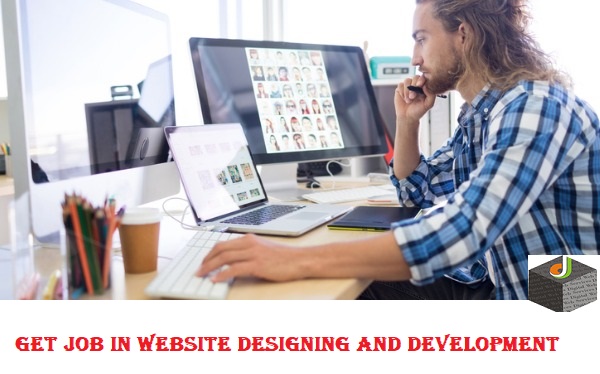 Job in website designing & development