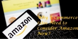 Why Amazon E-Commerce Marketing Store  Need to Consider Now?