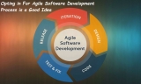 Opting in For Agile Software Development Process is a Good Idea
