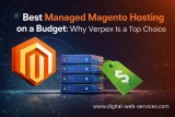 Best Managed Magento Hosting on a Budget: Why Verpex is a top choice.