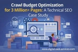 Crawl Budget Optimization for 3 Million+ Pages: A Technical SEO Case Study