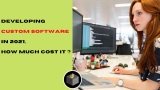 Developing a Custom Software in 2024, How Much Does it Cost?
