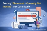 Solving “Discovered – Currently Not Indexed” Learn With Case Study