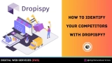 How to Identify Your Competitors with Dropispy?