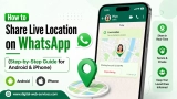 How to Share Live Location on WhatsApp with Family and Friends: Step-by-Step Guide