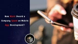 How Much Should a Company Spend on Mobile App Development?