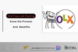 OLX Free Job Posting – Know the Process and Benefits