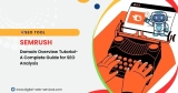 SEMrush Domain Overview Tutorial: A Complete Guide for SEO Analysis