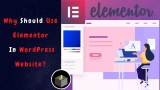 Why Should Use Elementor In WordPress Website?