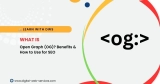 What is Open Graph (OG) Tags? Benefits & How to Use for SEO
