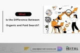 What is the Difference Between Organic and Paid Search?