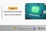 About WhatsApp Reverse Image Search and Its Benefits