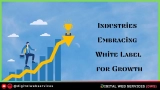 8 Industries Embracing White Label for Growth