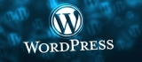 WordPress Website Development Company