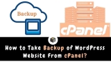 How to Take Backup of WordPress Website From cPanel