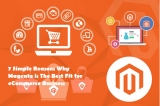 7 Simple Reasons Why Magento is The Best Fit for eCommerce Business